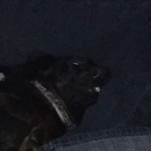 Meet your Posher, Brandyn